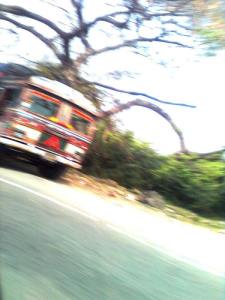 fleeting-copyright-indira-mukherjee