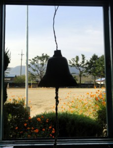 copyright David Stewart