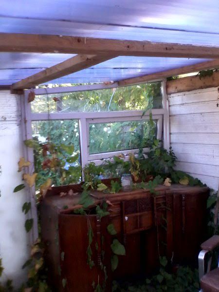 sp-overgrown-summer-house