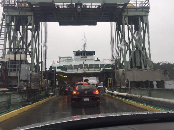 ted-struts-in-the-rain