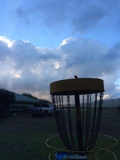 disc-golf-basket
