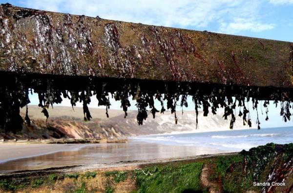 on-the-beach-with-sandra